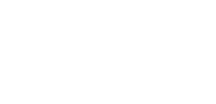 Logo der IU Internationale Hochschule, bestehend aus einem großen weißen "i" und "u" und den Wörtern "Internationale Hochschule" in weißen Großbuchstaben ohne Hintergrund